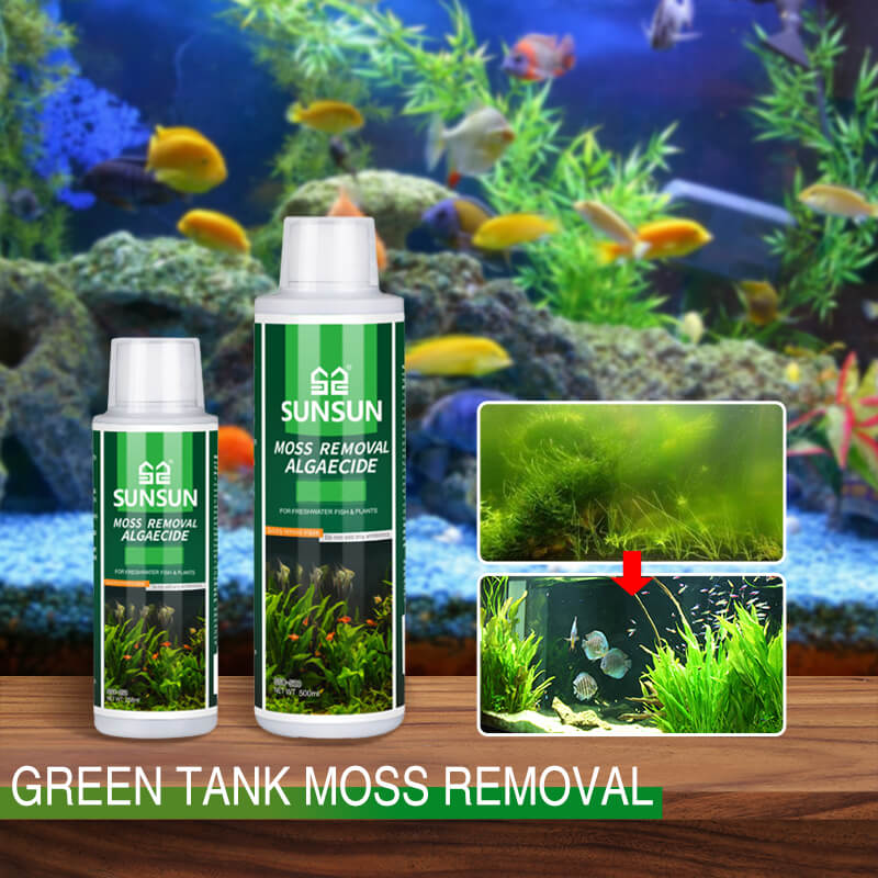 Fish Tank Moss Remover